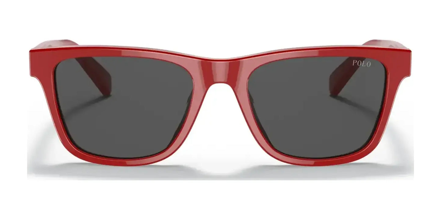 Polo PP9504U Sunglasses | Size 49