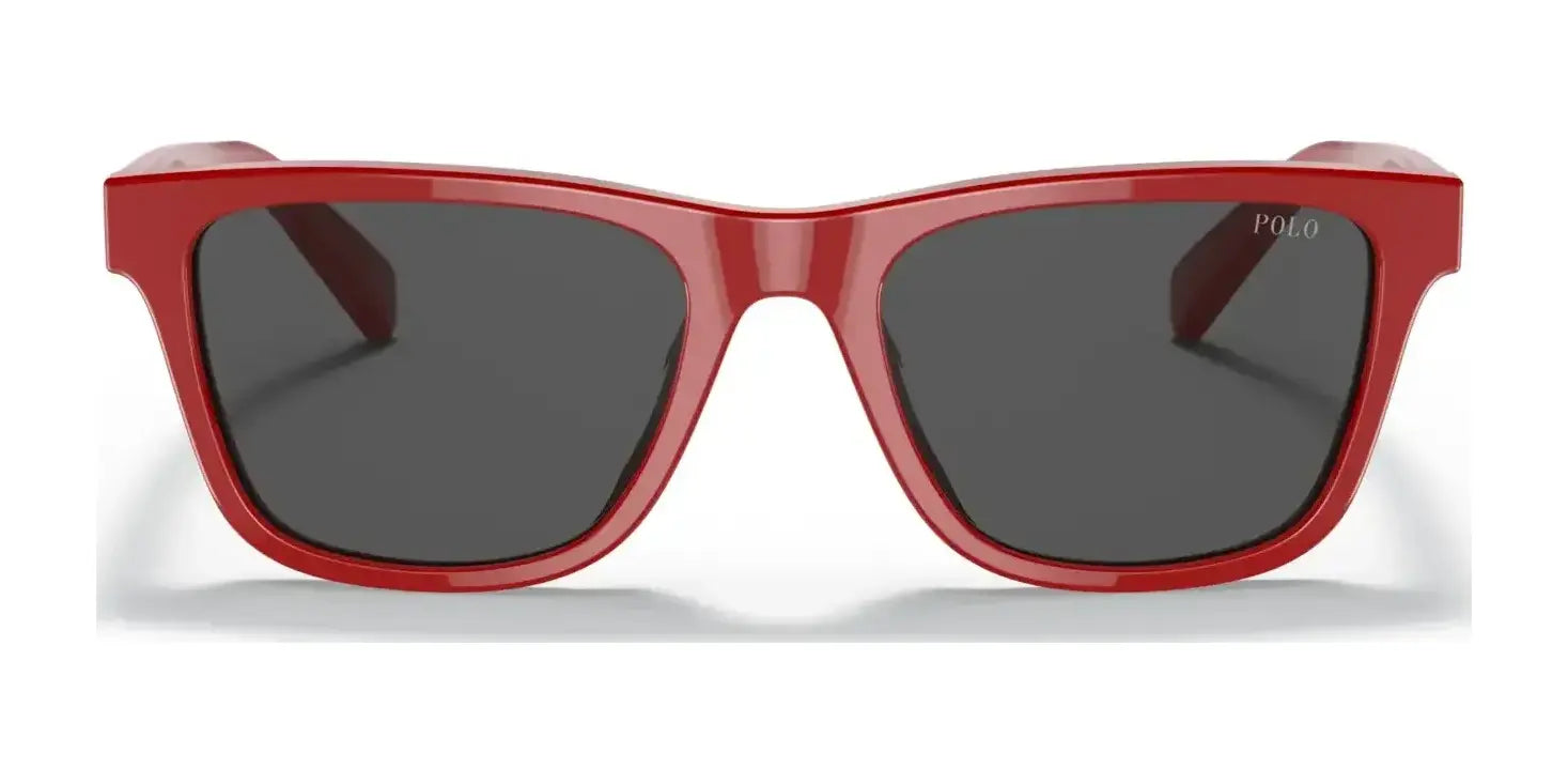 Polo PP9504U Sunglasses | Size 49