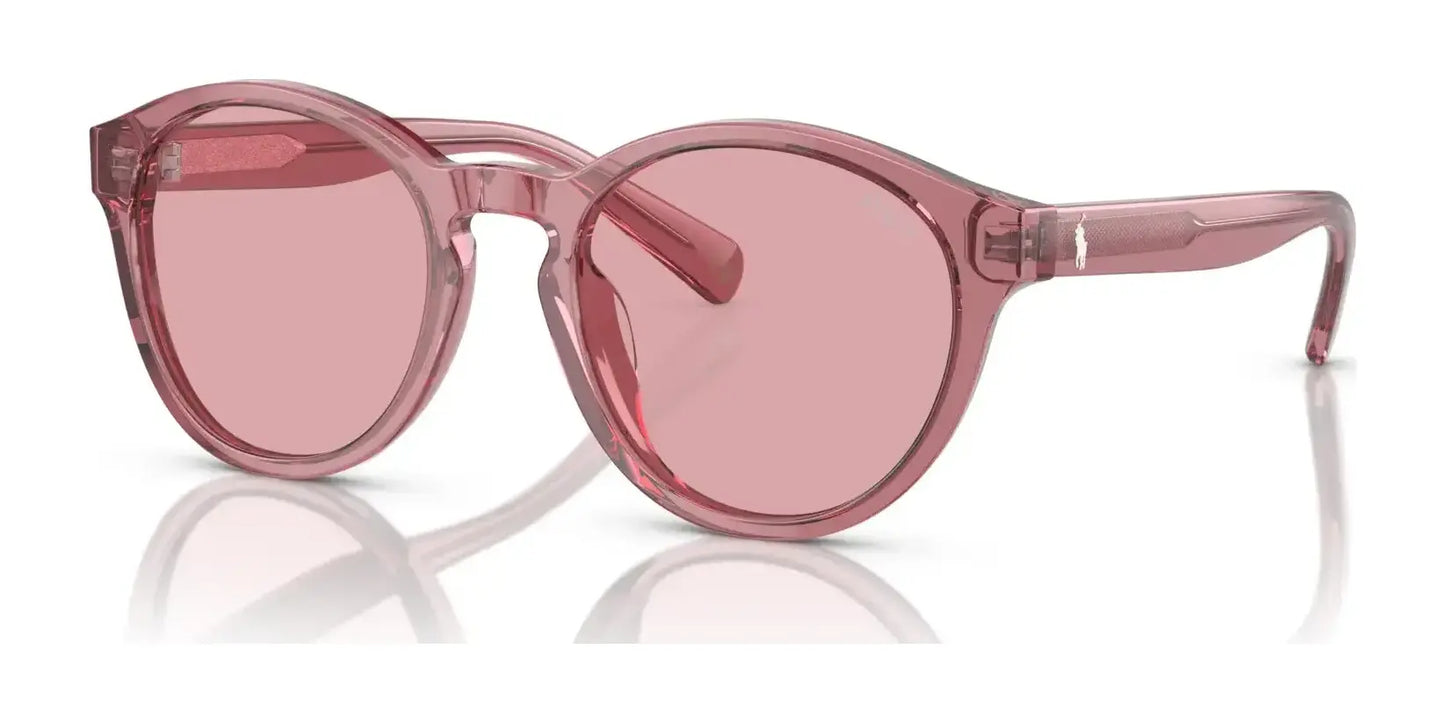 Polo PP9505U Sunglasses Shiny Transparent Rose / Rose