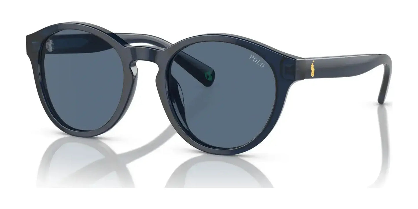 Polo PP9505U Sunglasses Transparent Navy / Blue