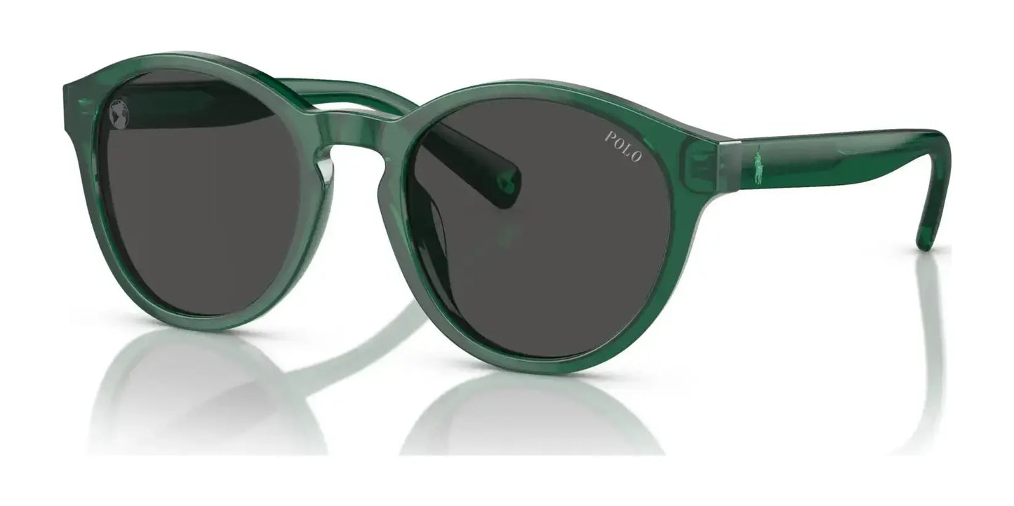 Polo PP9505U Sunglasses Shiny Transparent Green / Dark Grey