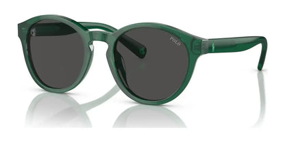 Polo PP9505U Sunglasses Shiny Transparent Green / Dark Grey