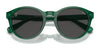Polo PP9505U Sunglasses / Shiny Transparent Green / Dark Grey (3N 10.1%) №608487 / Size 48