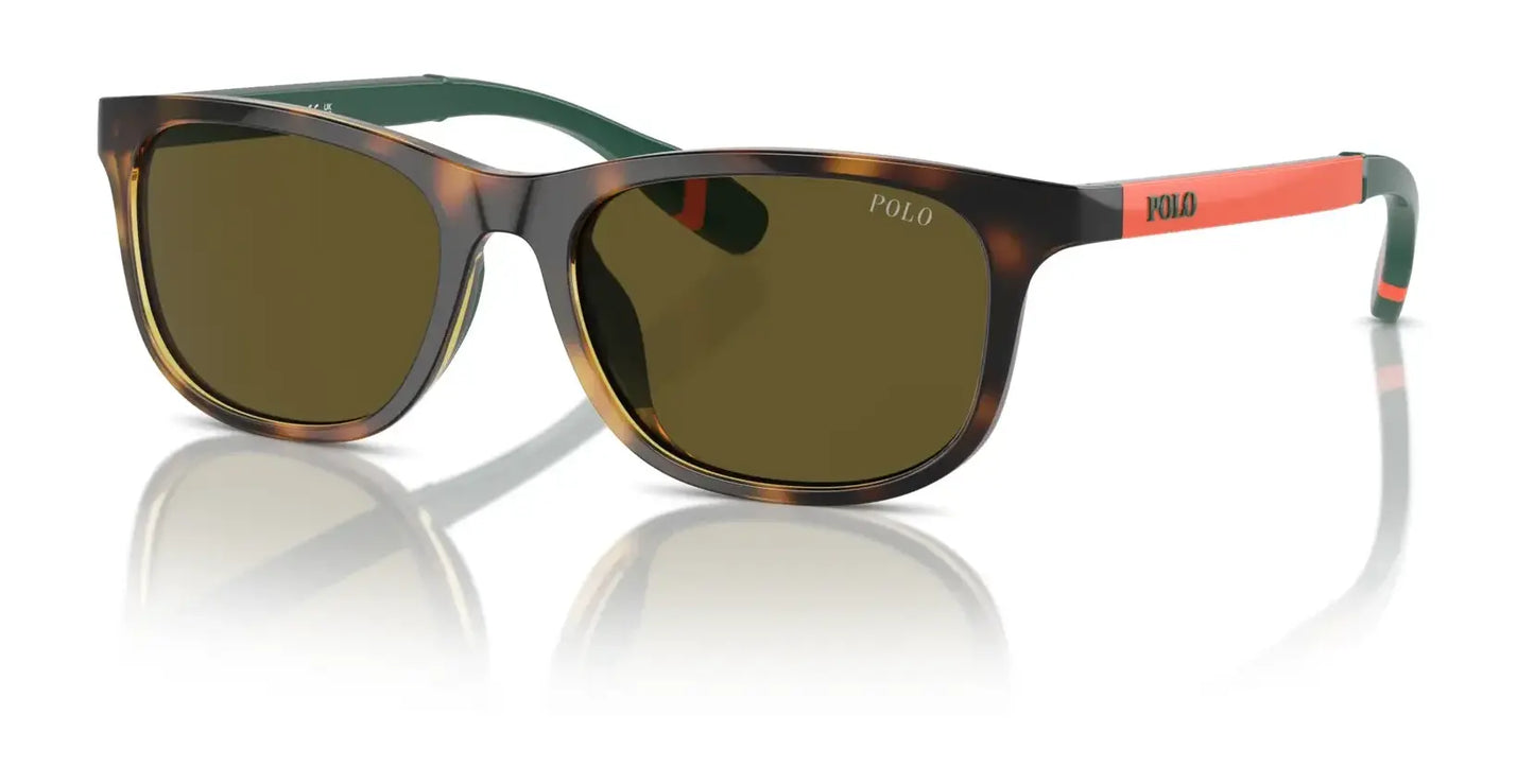 Polo PP9507U Sunglasses Shiny Havana / Olive Green