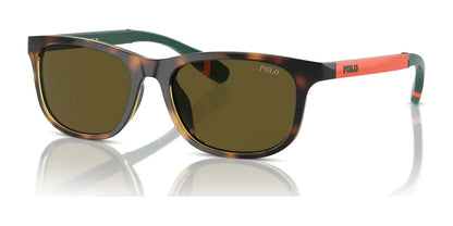 Polo PP9507U Sunglasses Shiny Havana / Olive Green