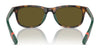 Polo PP9507U Sunglasses | Size 49 / Shiny Havana / Olive Green (3N 12.8%) №500373