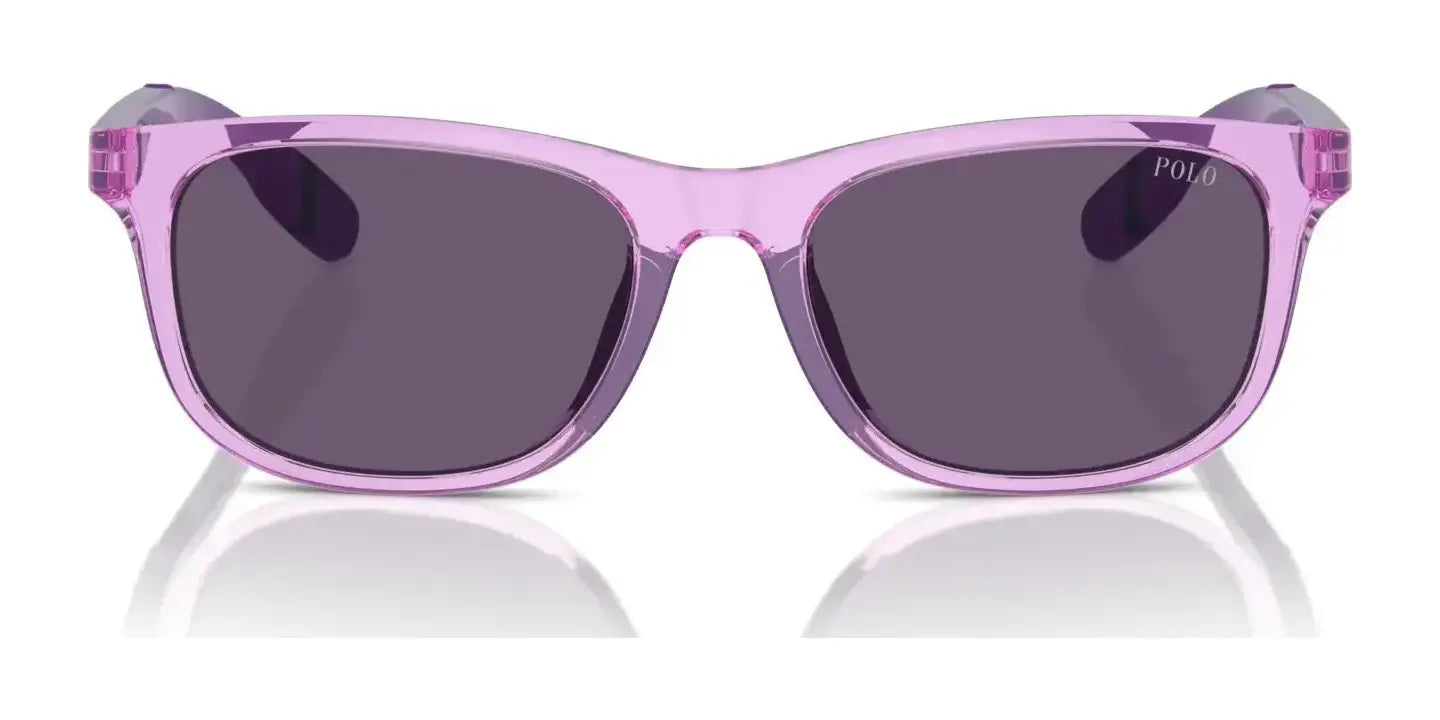 Polo PP9507U Sunglasses | Size 49