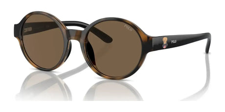 Polo PP9508U Sunglasses Shiny Dark Havana / Brown