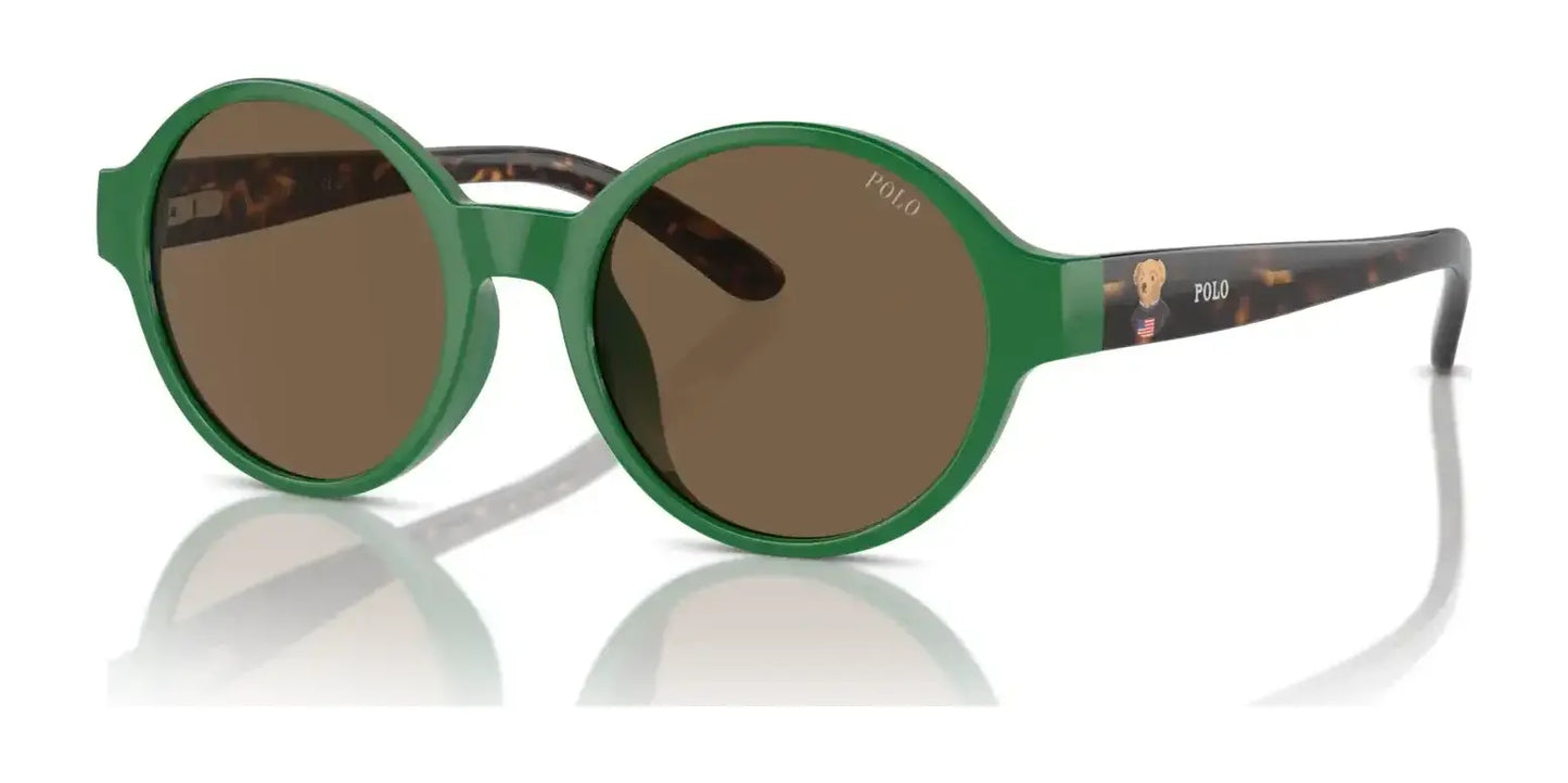 Polo PP9508U Sunglasses Shiny Green / Brown