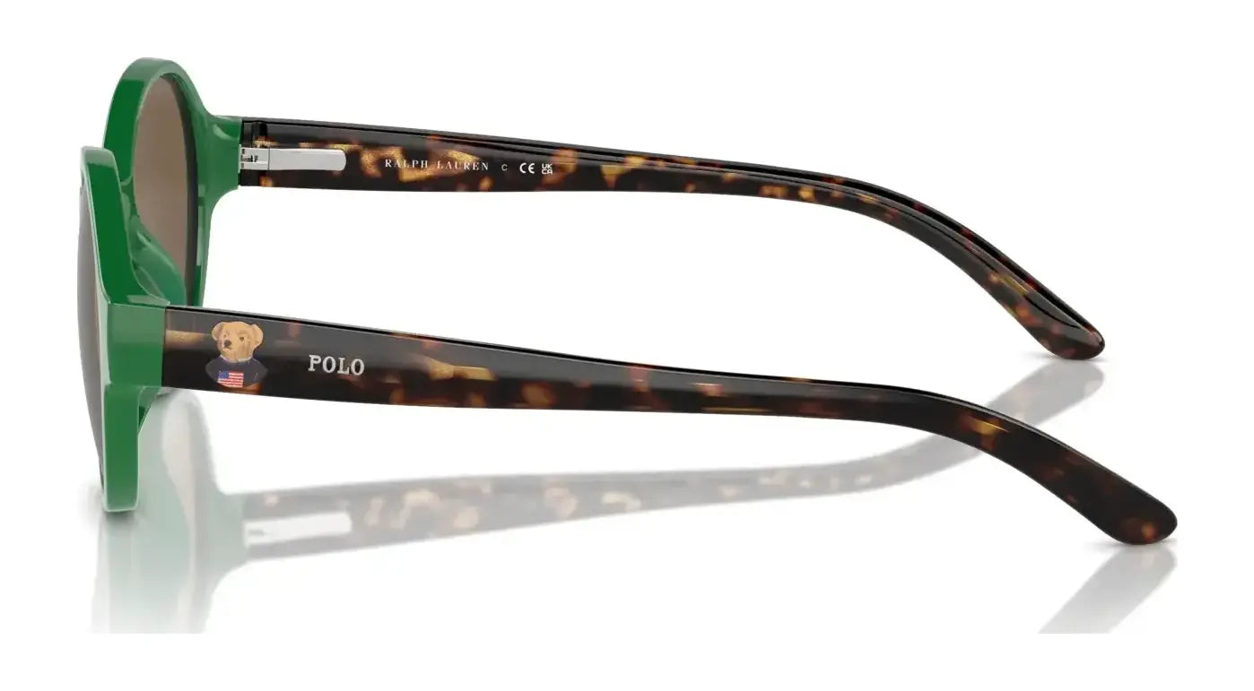 Polo PP9508U Sunglasses | Size 44