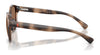 Polo PP9509U Sunglasses | Size 48 / Shiny Dark Havana / Dark Brown (3N 13.3%) №597473
