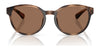 Polo PP9509U Sunglasses | Size 48 / Shiny Dark Havana / Dark Brown (3N 13.3%) №597473