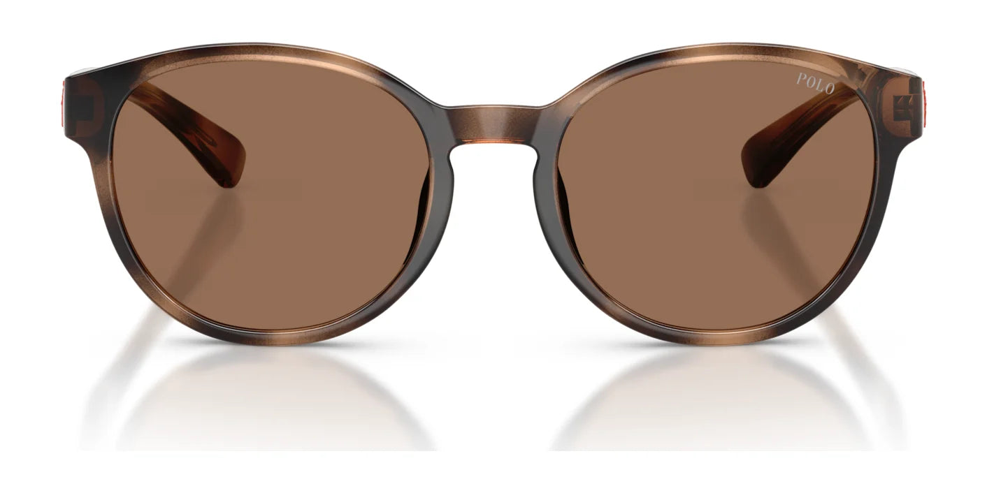 Polo PP9509U Sunglasses | Size 48
