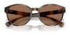 Polo PP9509U Sunglasses | Size 48 / Shiny Dark Havana / Dark Brown (3N 13.3%) №597473