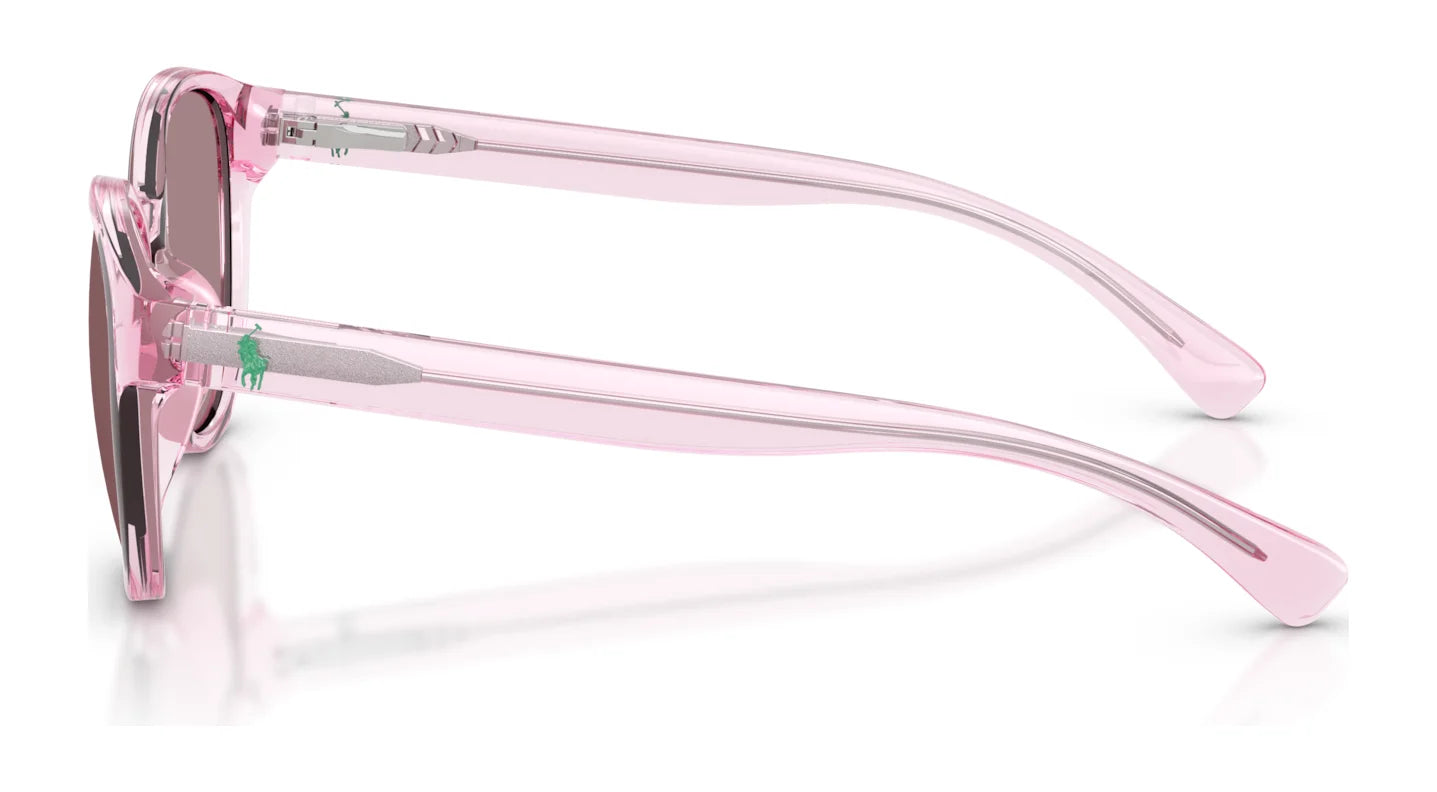 Polo PP9509U Sunglasses | Size 48