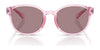 Polo PP9509U Sunglasses | Size 48 / Shiny Dark Havana / Dark Brown (3N 13.3%) №597473