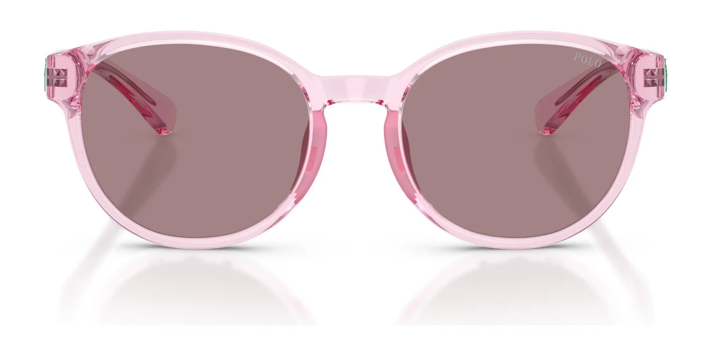 Polo PP9509U Sunglasses | Size 48