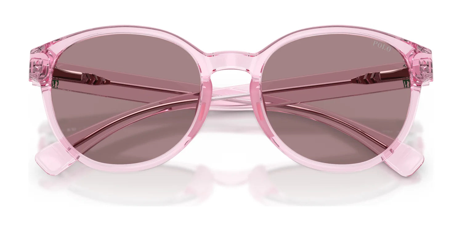 Polo PP9509U Sunglasses | Size 48