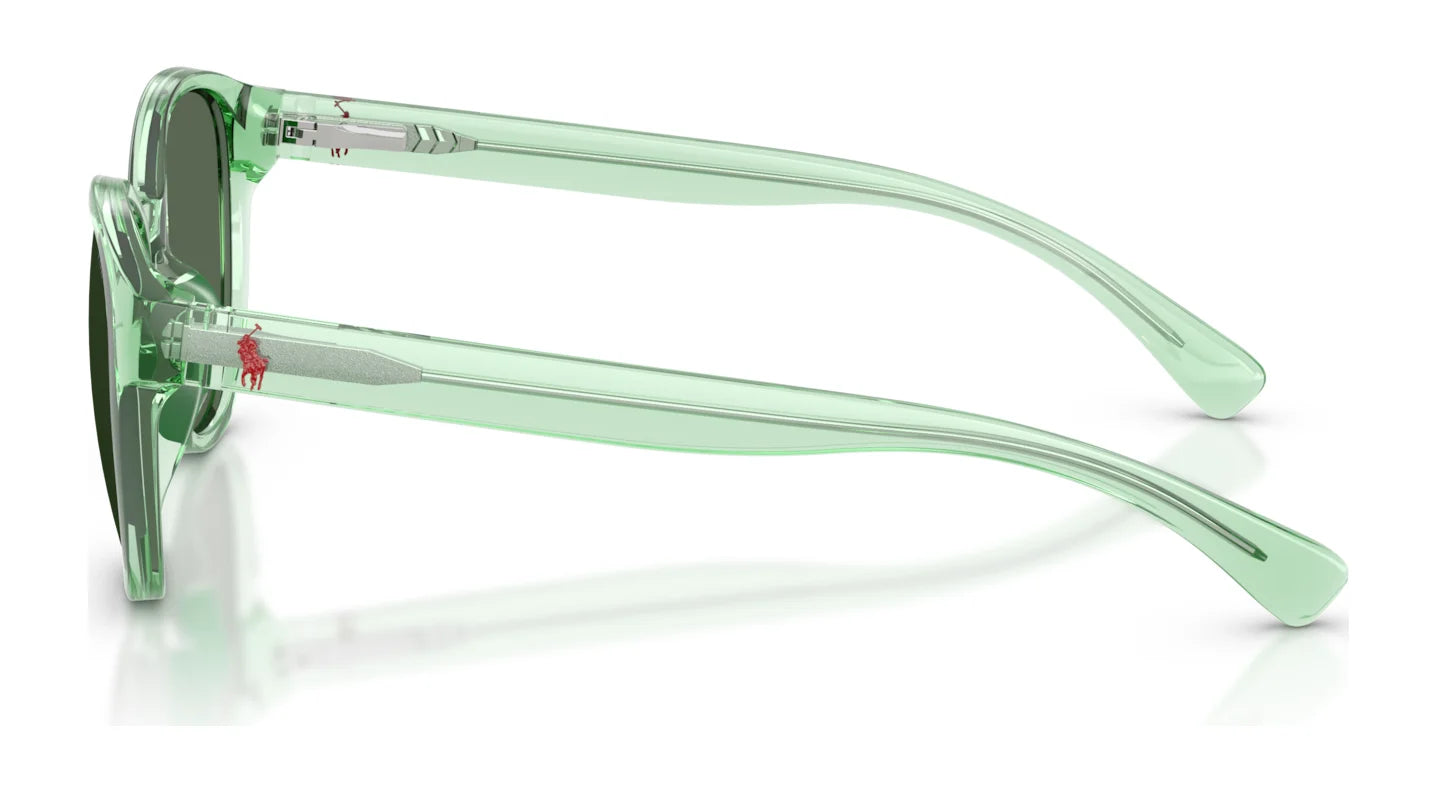 Polo PP9509U Sunglasses | Size 48