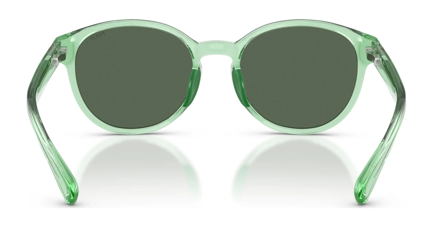 Polo PP9509U Sunglasses | Size 48