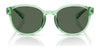 Polo PP9509U Sunglasses | Size 48 / Shiny Dark Havana / Dark Brown (3N 13.3%) №597473