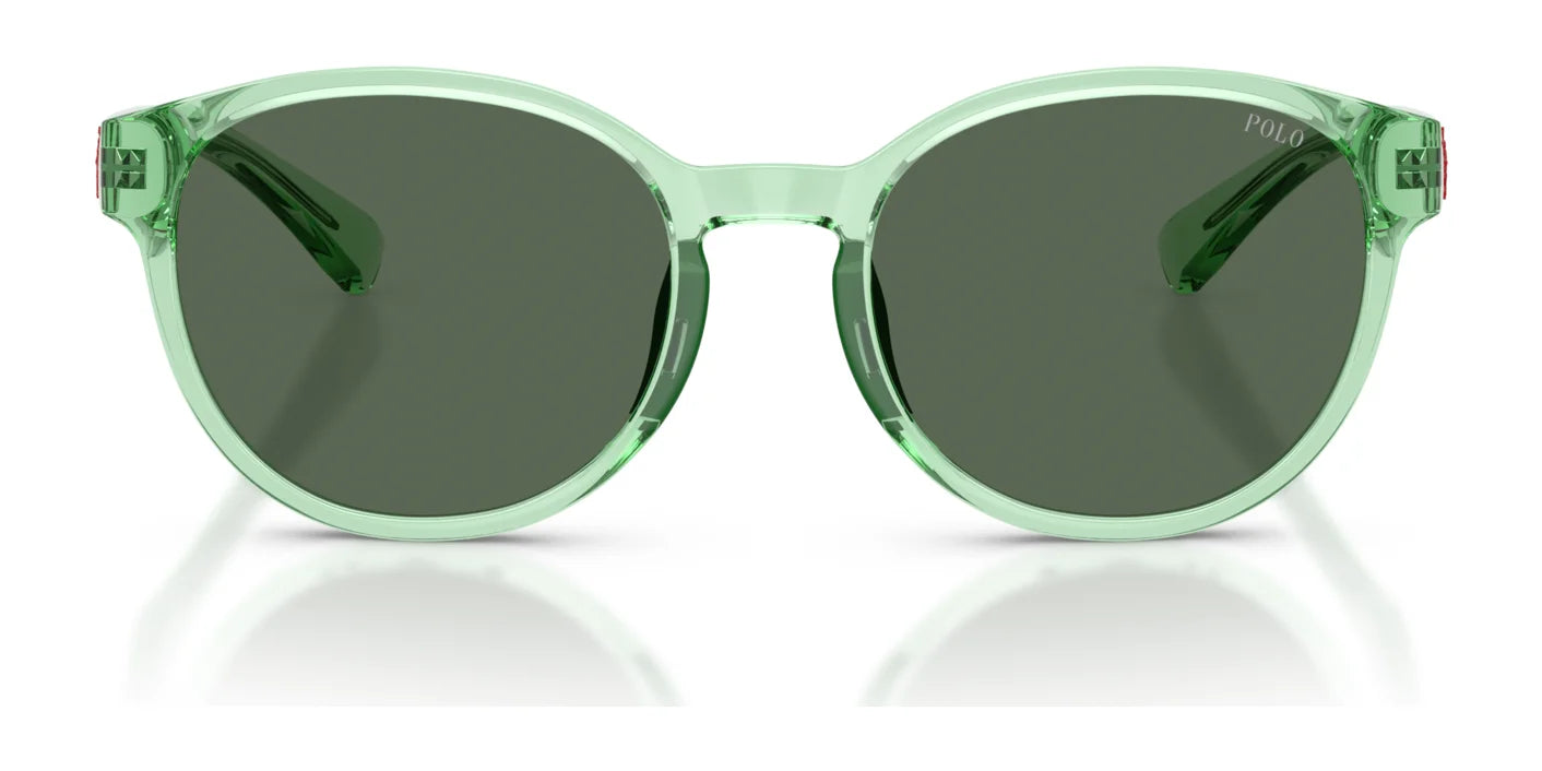 Polo PP9509U Sunglasses | Size 48