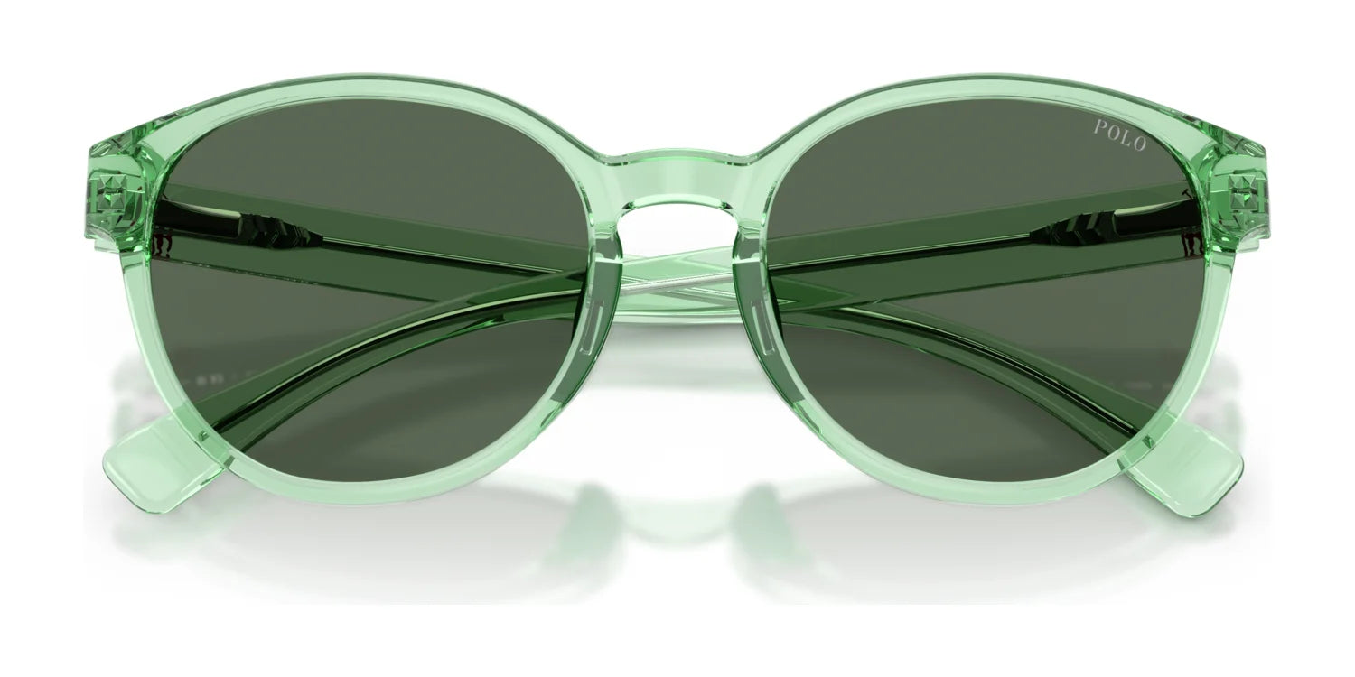 Polo PP9509U Sunglasses | Size 48