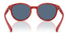 Polo PP9509U Sunglasses | Size 48 / Shiny Dark Havana / Dark Brown (3N 13.3%) №597473