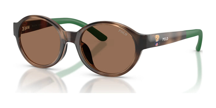 Polo PP9510U Sunglasses | Size 45 / Shiny Dark Havana / Dark Brown (3N 13.3%) №500373