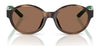 Polo PP9510U Sunglasses | Size 45 / Shiny Dark Havana / Dark Brown (3N 13.3%) №500373