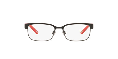 Polo PP8036 Eyeglasses | Size 46