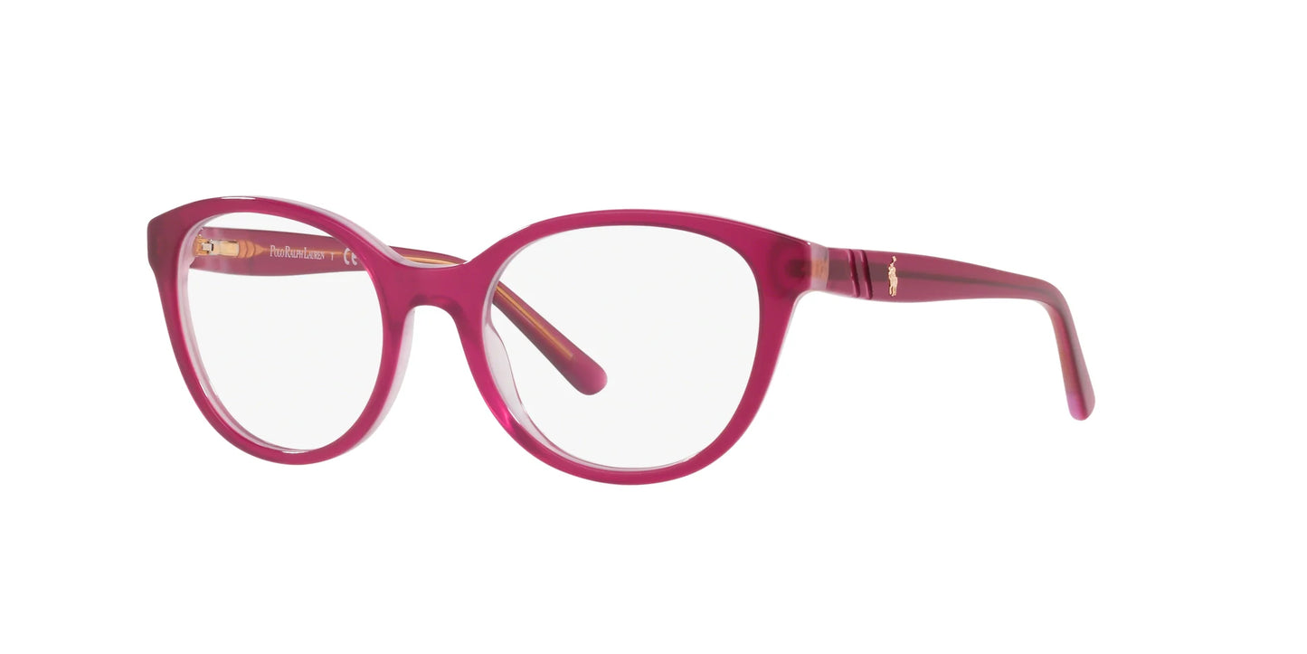 Polo PP8535 Eyeglasses Shiny Pink On Crystal Pink