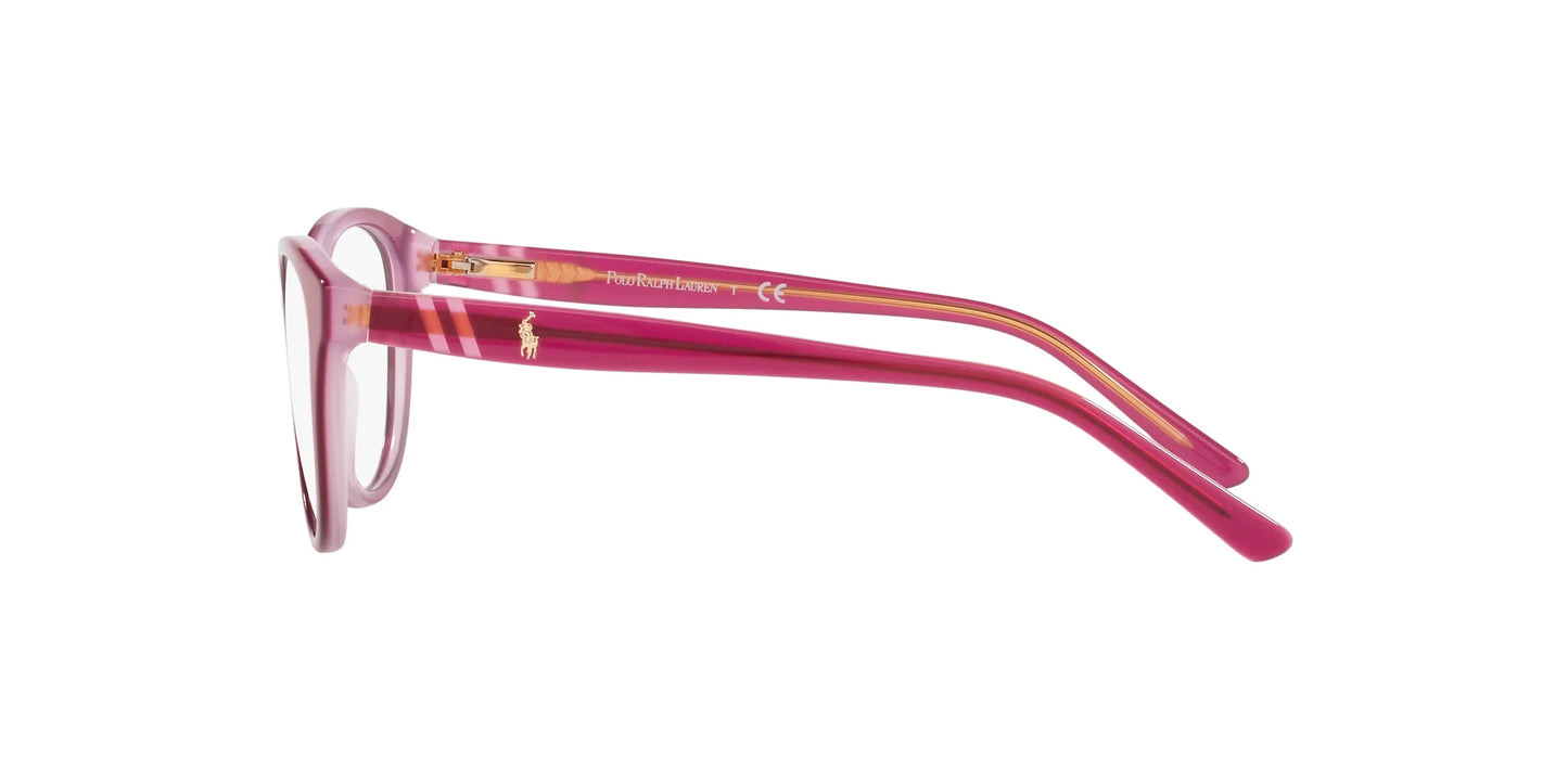 Polo PP8535 Eyeglasses | Size 47