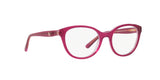 Polo PP8535 Eyeglasses | Size 47