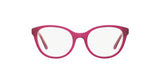 Polo PP8535 Eyeglasses | Size 47