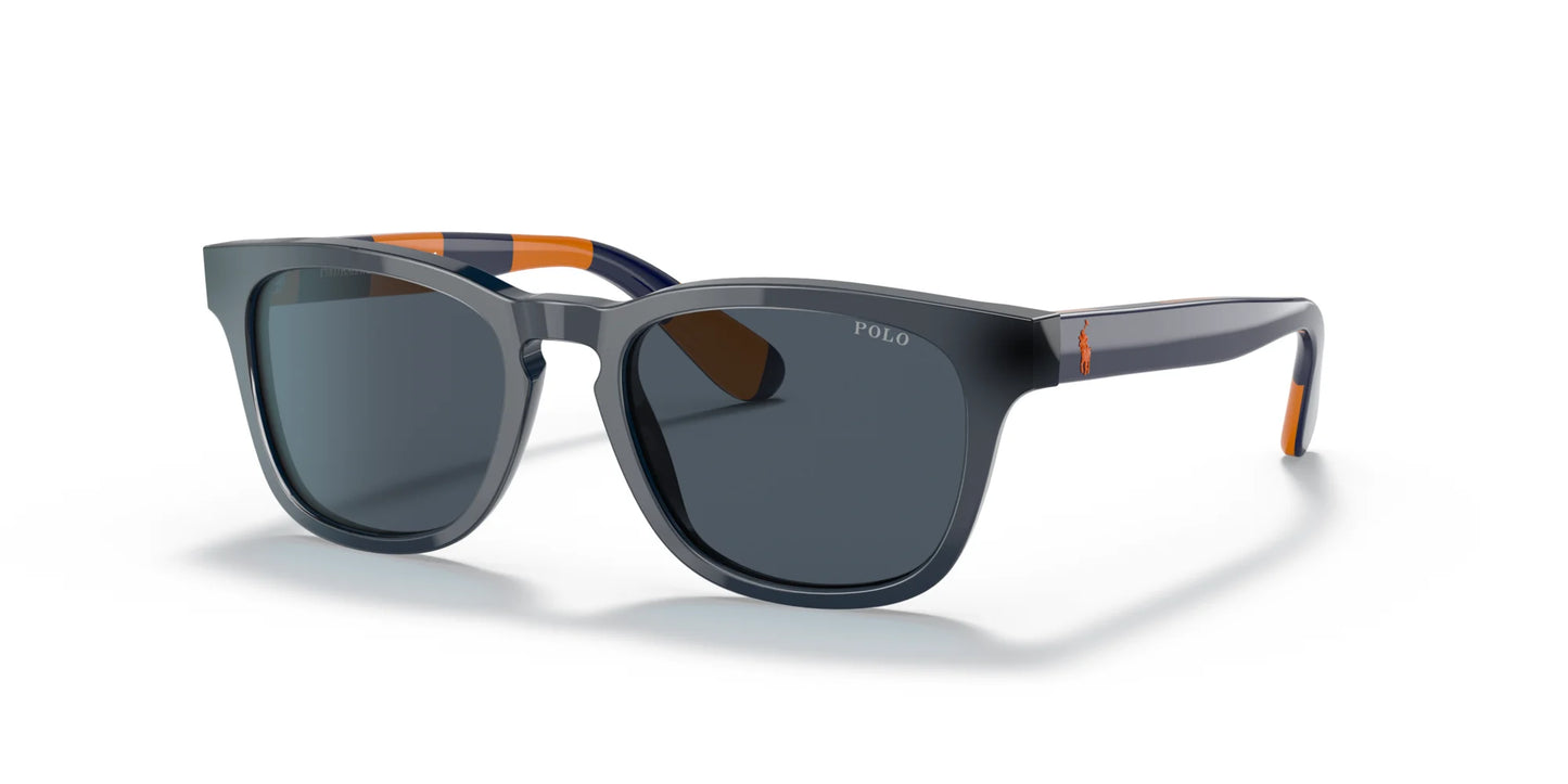 Polo PP9503 Sunglasses Shiny Top Blue Orange / Blue Striped / Grey / Blue