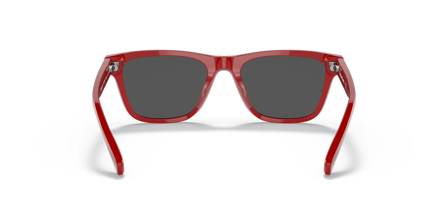 Polo PP9504U Sunglasses | Size 49