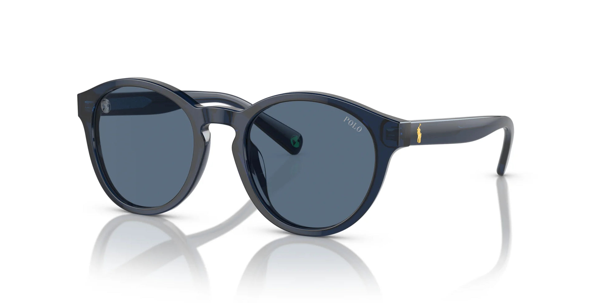 Polo PP9505U Sunglasses Transparent Navy / Blue