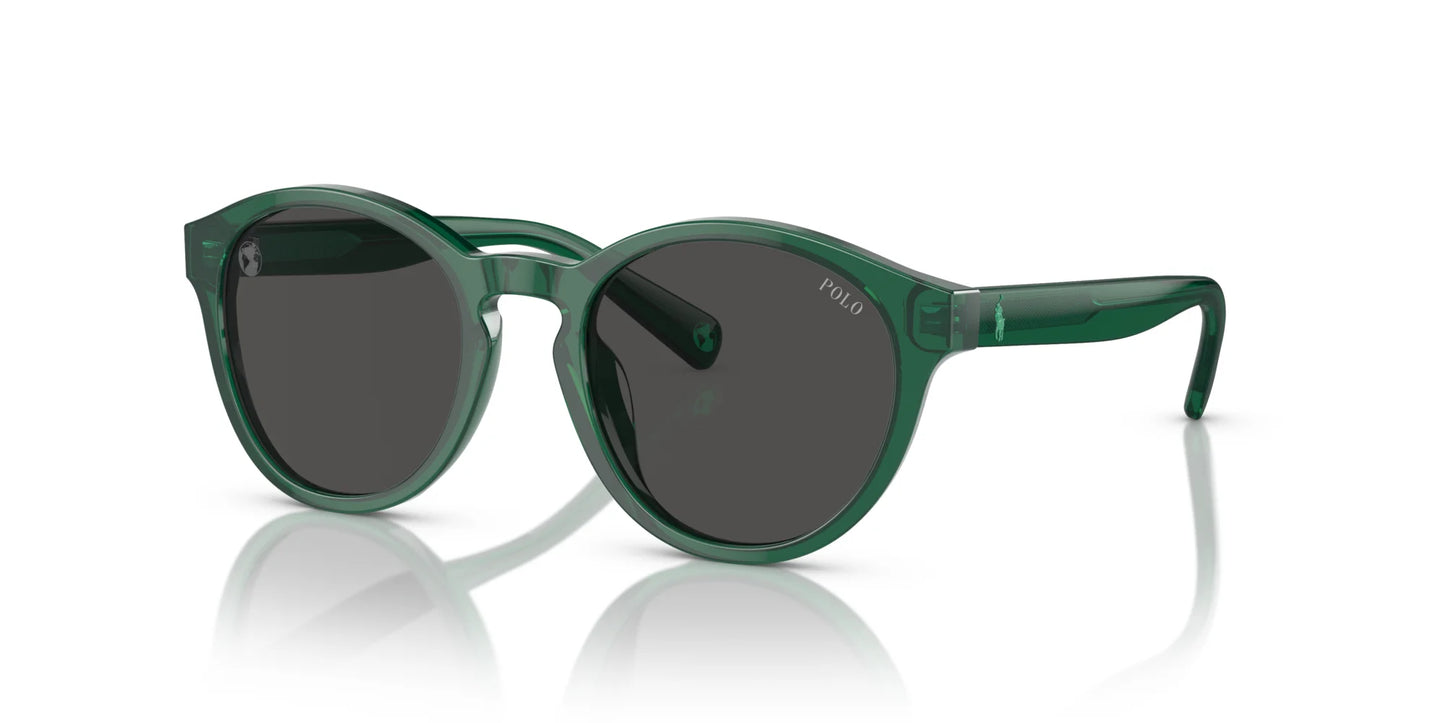 Polo PP9505U Sunglasses Shiny Transparent Green / Dark Grey
