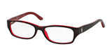 Ralph Lauren RL6058 Eyeglasses Shiny Dark Havana On Red