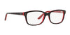 Ralph Lauren RL6062 Eyeglasses | Size 52 / Shiny Dark Havana On Red №5255