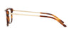 Ralph Lauren RL6189 Eyeglasses | Size 54 / Shiny Striped Havana №5004