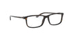 Ralph Lauren RL6201 Eyeglasses / Shiny Dark Havana №5003 / Size 56