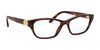 Ralph Lauren RL6203 Eyeglasses | Size 54 / Striped Havana №5007