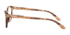 Ralph Lauren RL6204 Eyeglasses | Size 55 / Shiny Striped Brown №5875