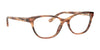 Ralph Lauren RL6204 Eyeglasses | Size 55 / Shiny Striped Brown №5875