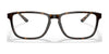 Ralph Lauren RL6208 Eyeglasses | Size 56 / Shiny Dark Havana №5003