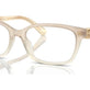 Transparent Light Brown №6184