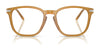 Ralph Lauren RL6248U Eyeglasses / Black №5001 / Size 54