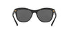 Ralph Lauren RL8150 Sunglasses / Black №500187 / Dark Gray (3N 10%) / Size 56